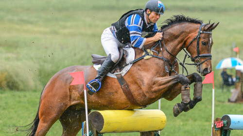 21 quirindi shane rose stakkino 4star winner[1]
