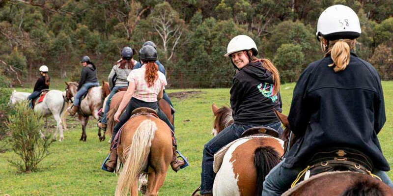 Pony Rides & Riding Lessons
